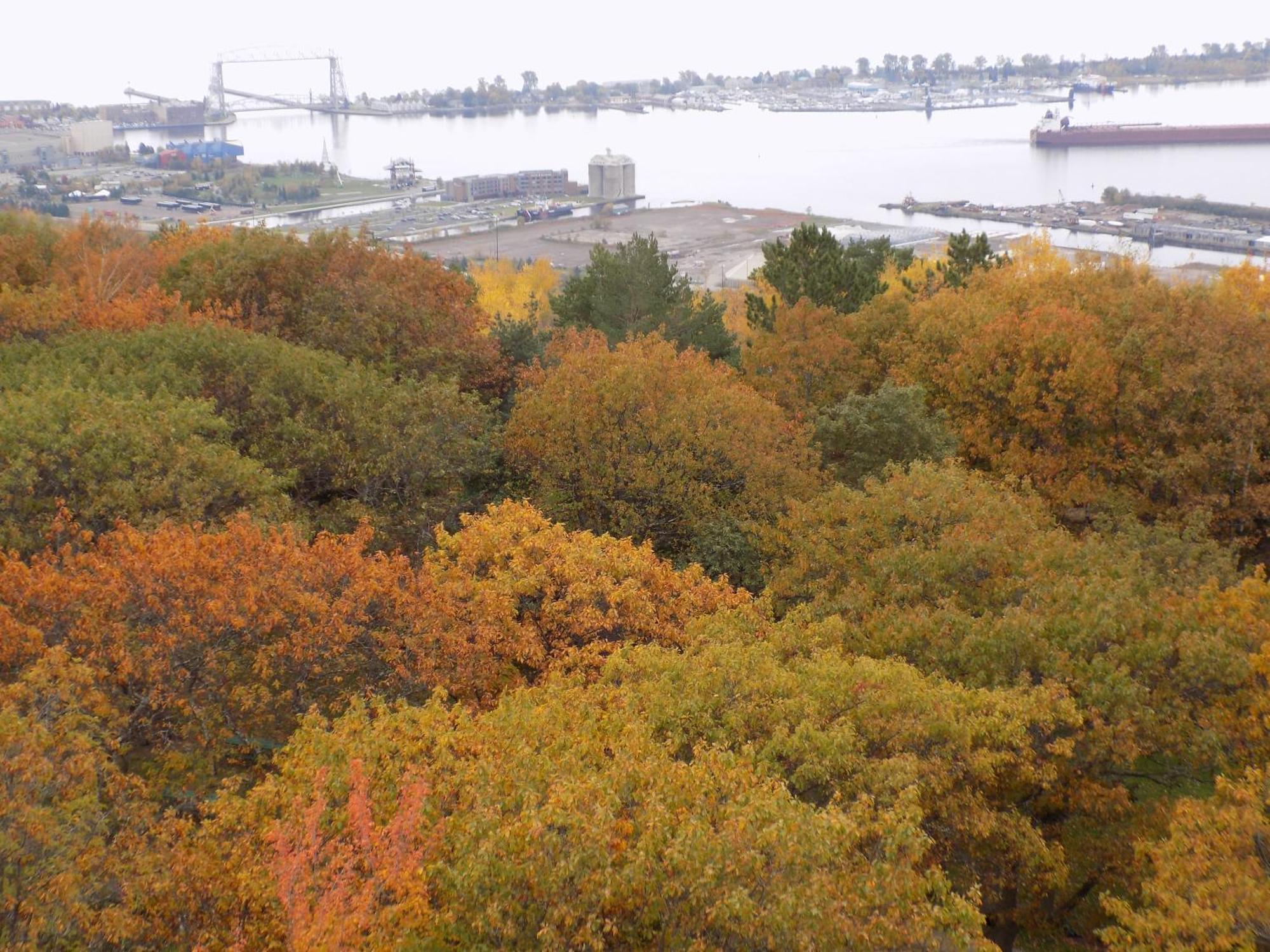 Fairfield Inn & Suites By Marriott Duluth Waterfront Luaran gambar